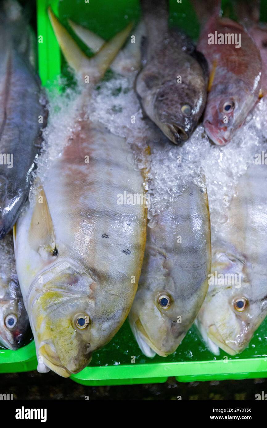 Frischer Salzwasserfisch auf Eis zum Verkauf im Seafood-Bereich des Central Market (Phsar Thmei), Phnom Penh, Kambodscha. Stockfoto