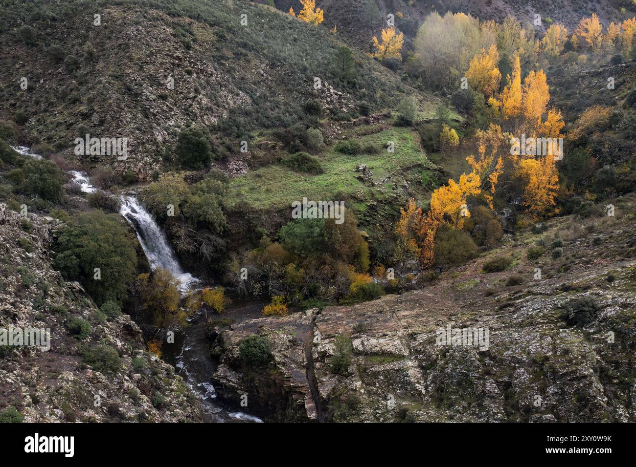 Ein grünes Bergtal mit kaskadierenden Wasserfällen inmitten von lebhaftem Herbstlaub unter bewölktem Himmel Stockfoto