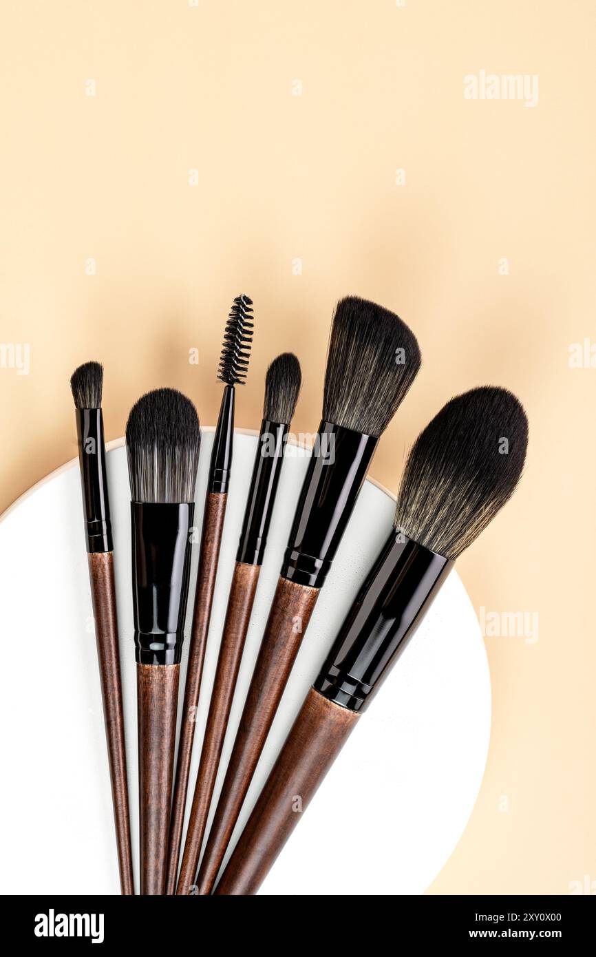 Blick von oben auf verschiedene professionelle Make-up-Pinsel mit eleganten schwarzen und hölzernen Griffen, elegant angeordnet in einem pastellfarbenen Hintergrund. Stockfoto