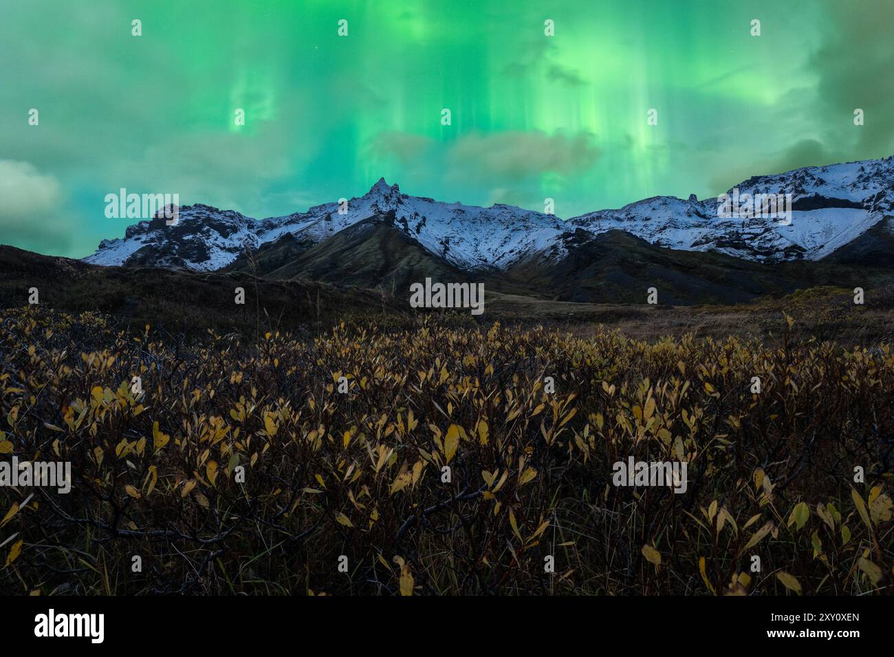 Ein atemberaubender Blick auf die Nordlichter (Aurora Borealis), die am Himmel über einer zerklüfteten, schneebedeckten Bergkette tanzen. Der Vordergrund sh Stockfoto