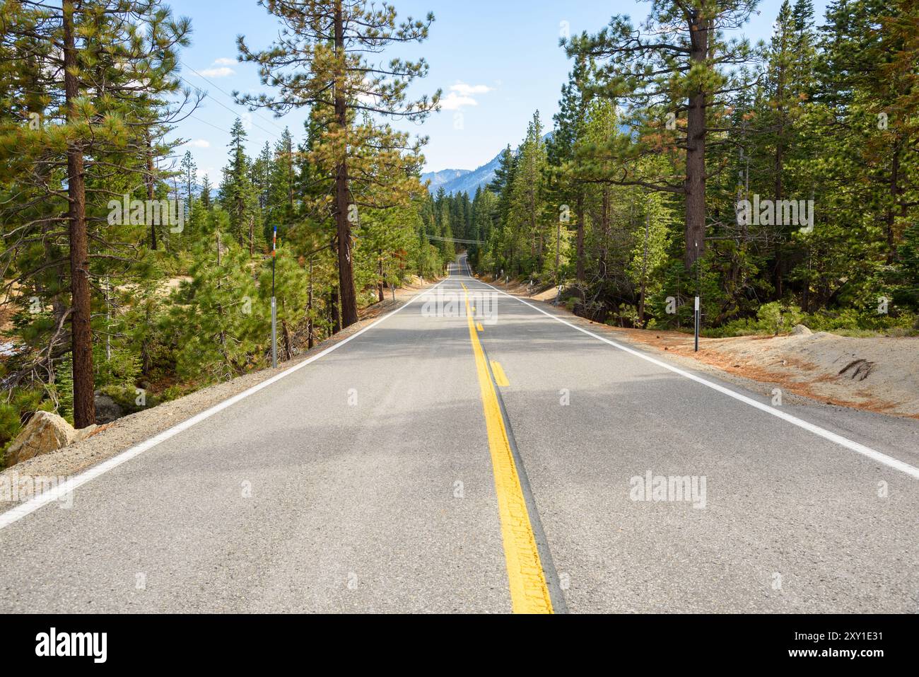 Leere Bergstraße durch einen Kiefernwald an einem klaren Herbsttag Stockfoto