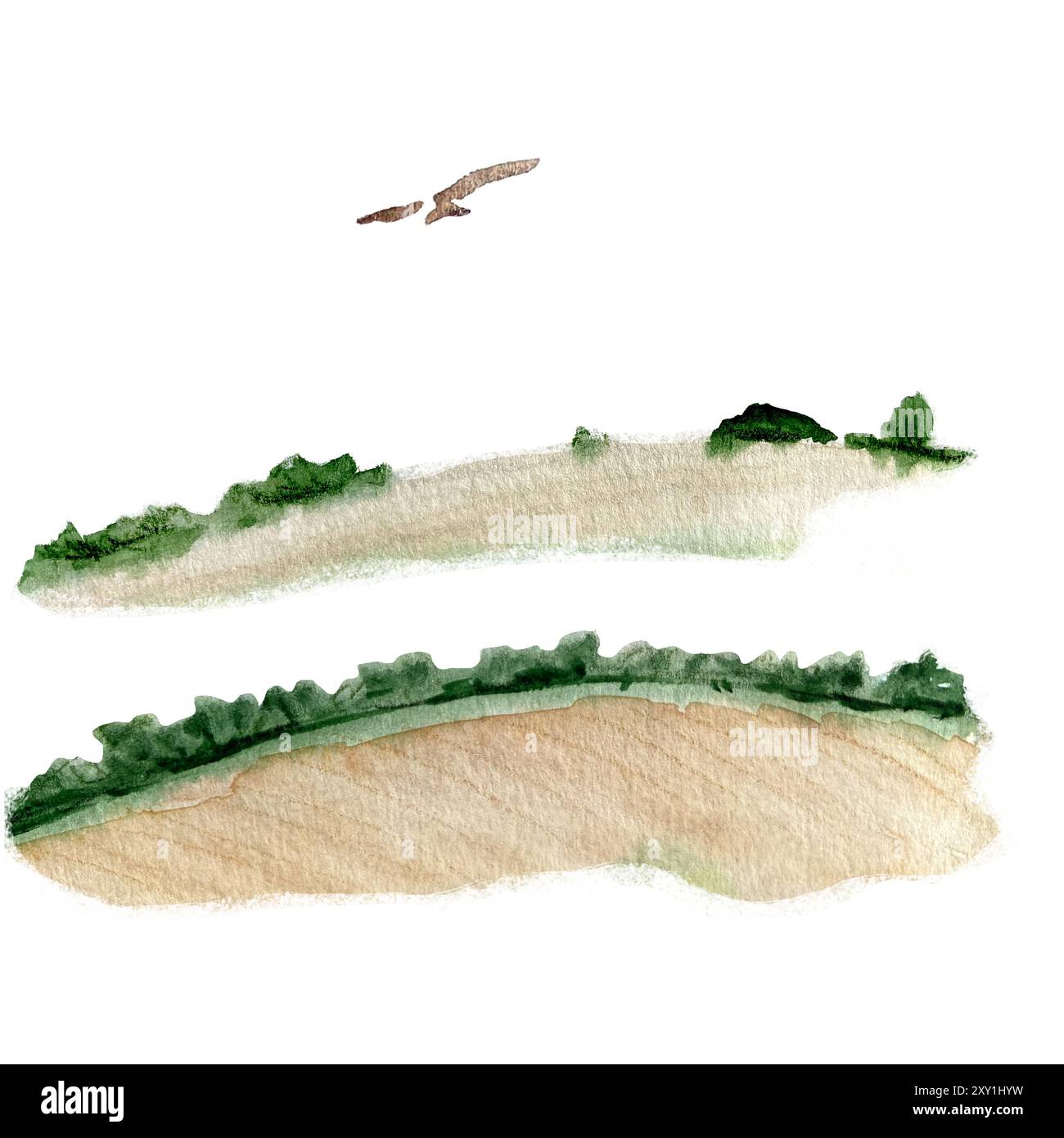 Landschaftselemente, Weizenfelder mit Buschrändern, Drachenaquarell isoliert auf weiß. Handgemalte Natur-, Landschaft-, Reise-Design-Elemente Stockfoto