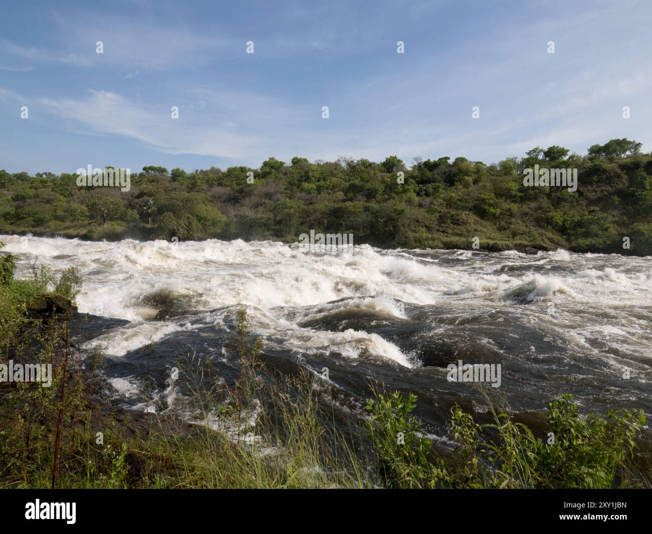 Blick auf Rapids am Gipfel von Waterfull, Nil River, Murchison Falls National Park, Uganda Stockfoto