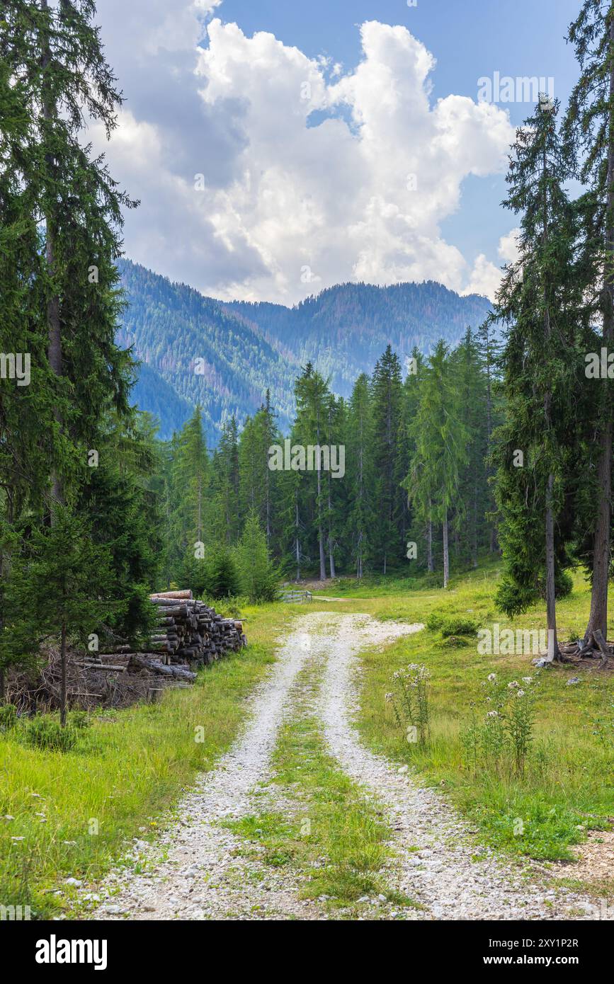 Wandern in der Nähe von La Villa - Val Badia - Alta Badia - Italien Stockfoto