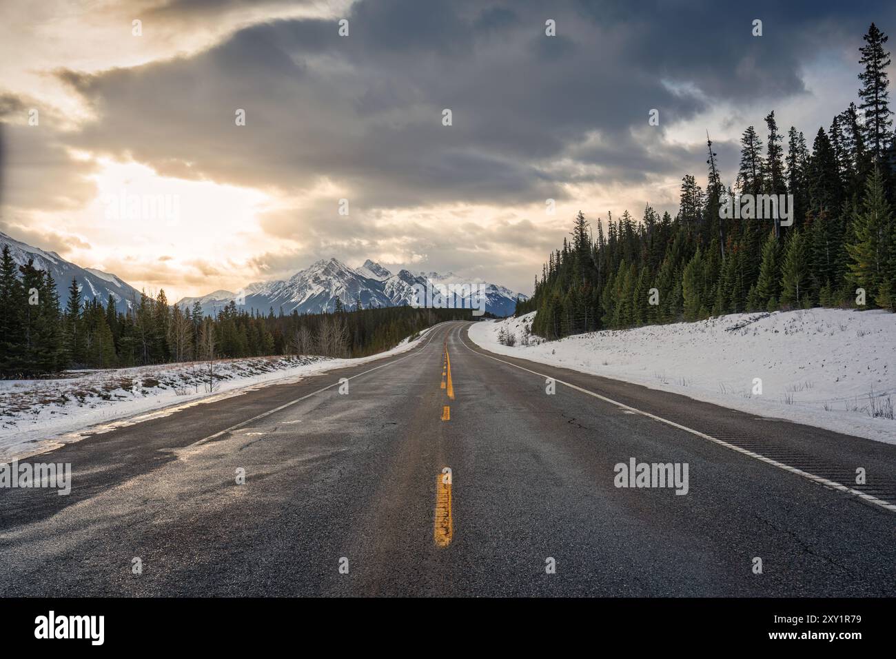 Roadtrip mit felsigen Bergen auf der Autobahn im Nationalpark Kootenay Plains Area, Alberta, Kanada Stockfoto