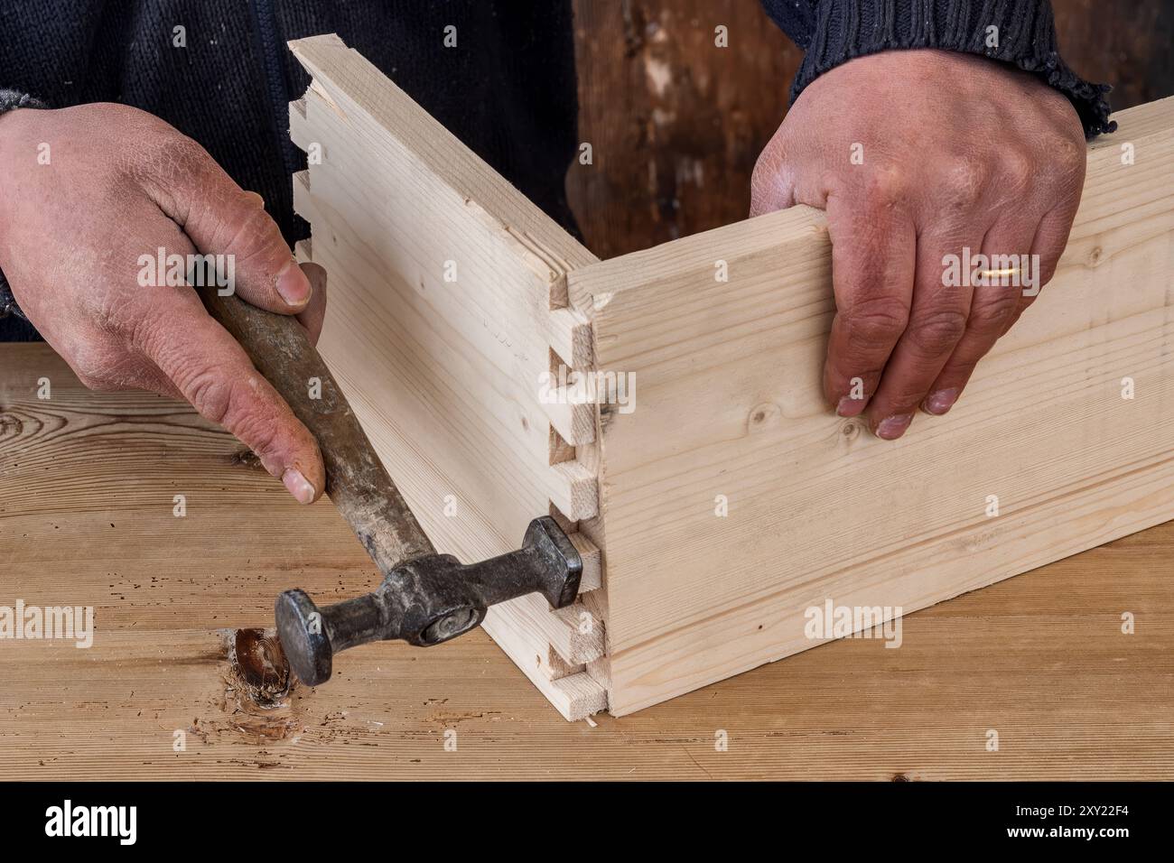 Ein Handwerker stellt eine Holzschublade mit traditionellen Schwalbenschwanzverbindungen her, die feine Holzbearbeitungskünste zum Ausdruck bringt Stockfoto