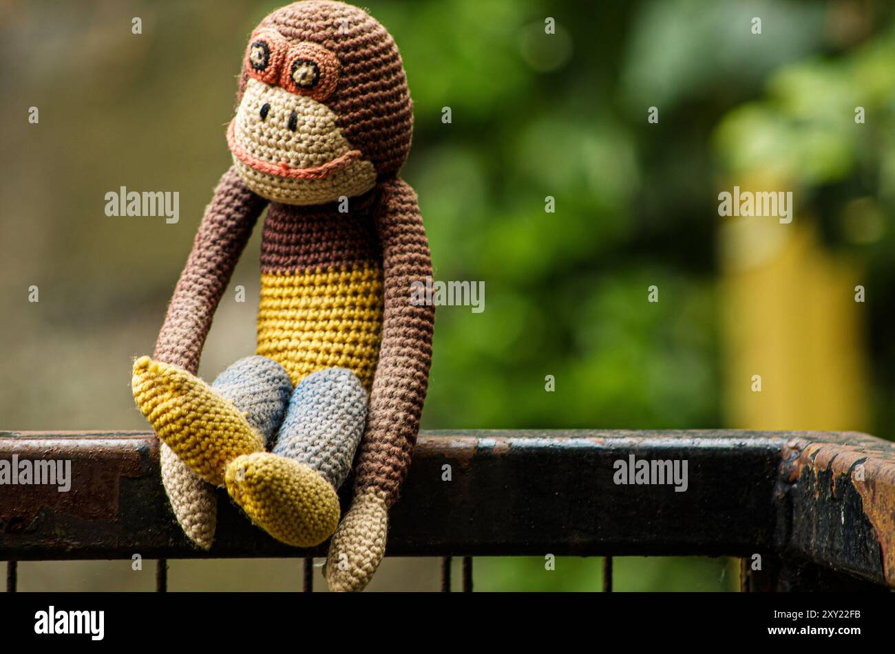 Der alte Affe bekommt frische Luft Stockfoto