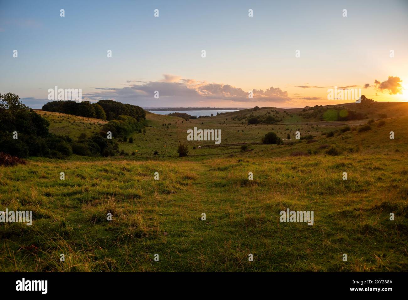 Malerische Landschaft im Naturschutzgebiet Glumslövs Backar/Hilleshögs Dalar in Schweden bei Sonnenuntergang. Stockfoto