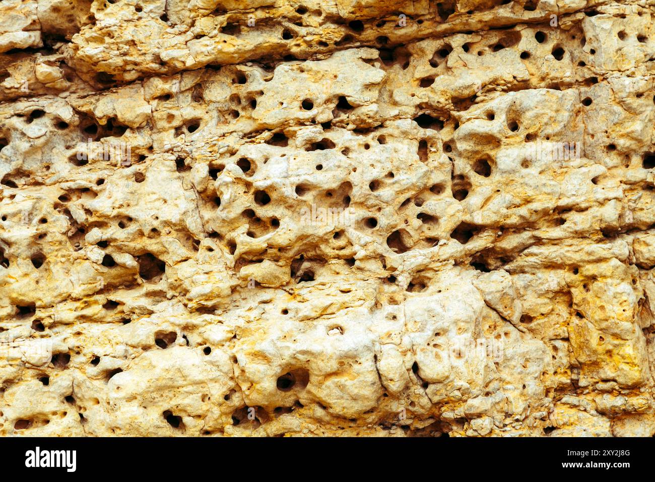 Helles magmatisches Gestein mit poröser Textur, Blick von oben Stockfoto