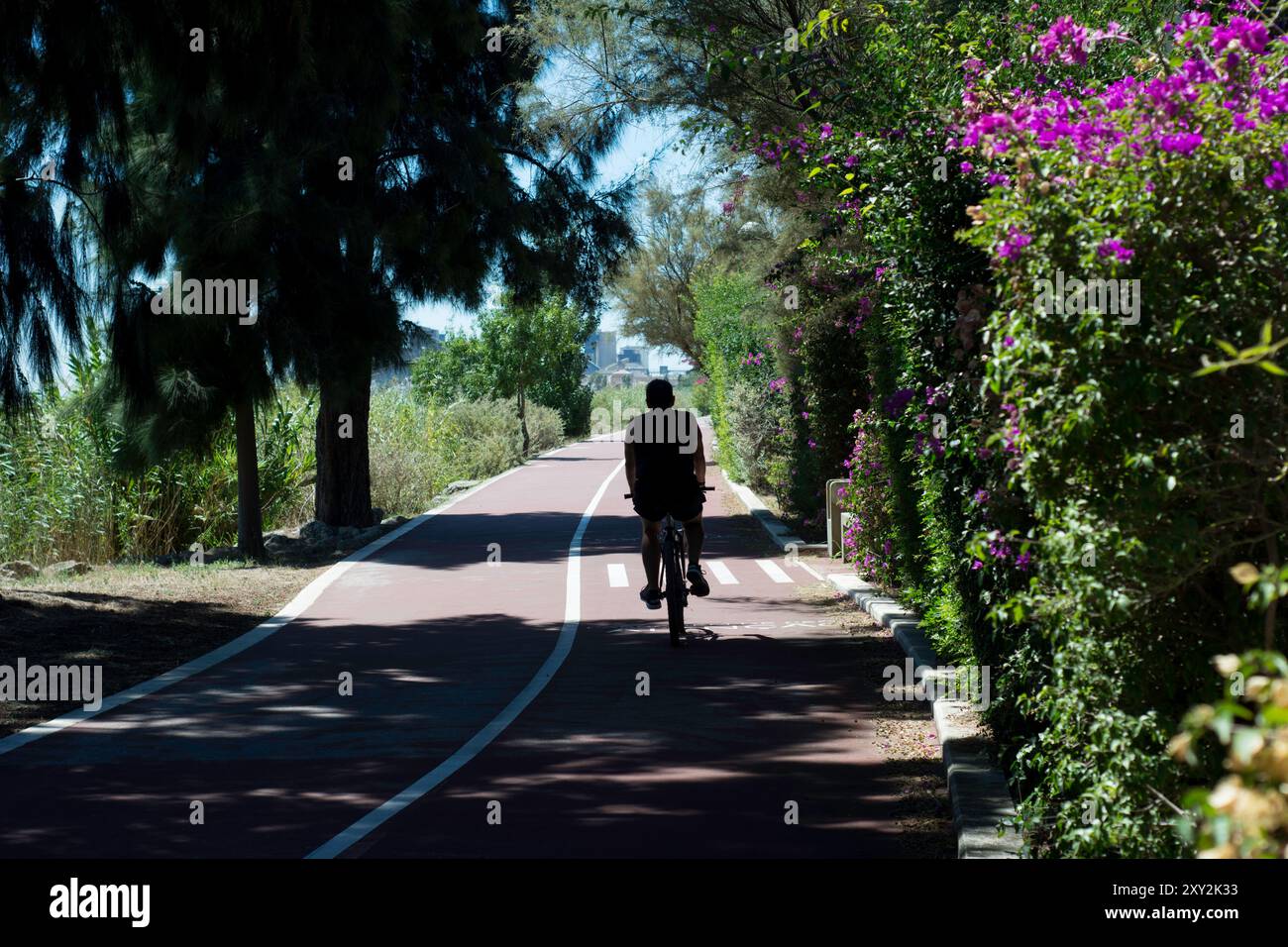 Rückansicht eines Mannes, der auf einer Straße in einem Park Fahrrad fährt Stockfoto