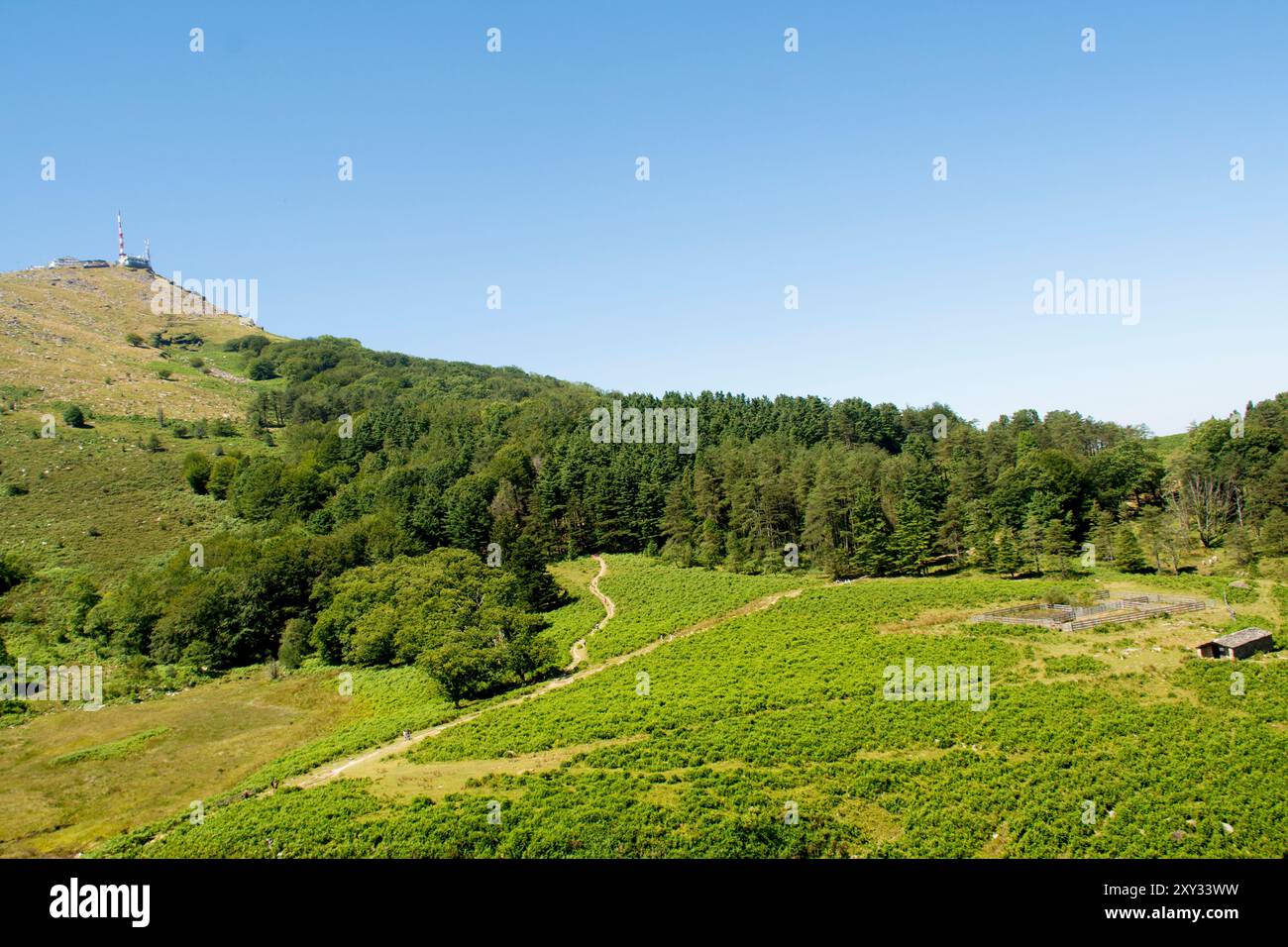 Panoramablick auf die Berge und Täler der alpen Stockfoto