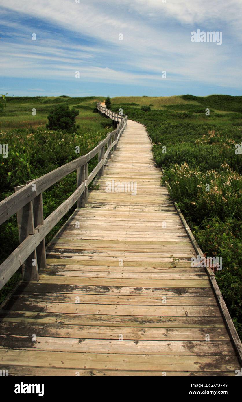 Eine hölzerne Promenade schlängelt sich durch üppige grüne Vegetation unter einem teilweise bewölkten Himmel und führt in die Ferne. Stockfoto