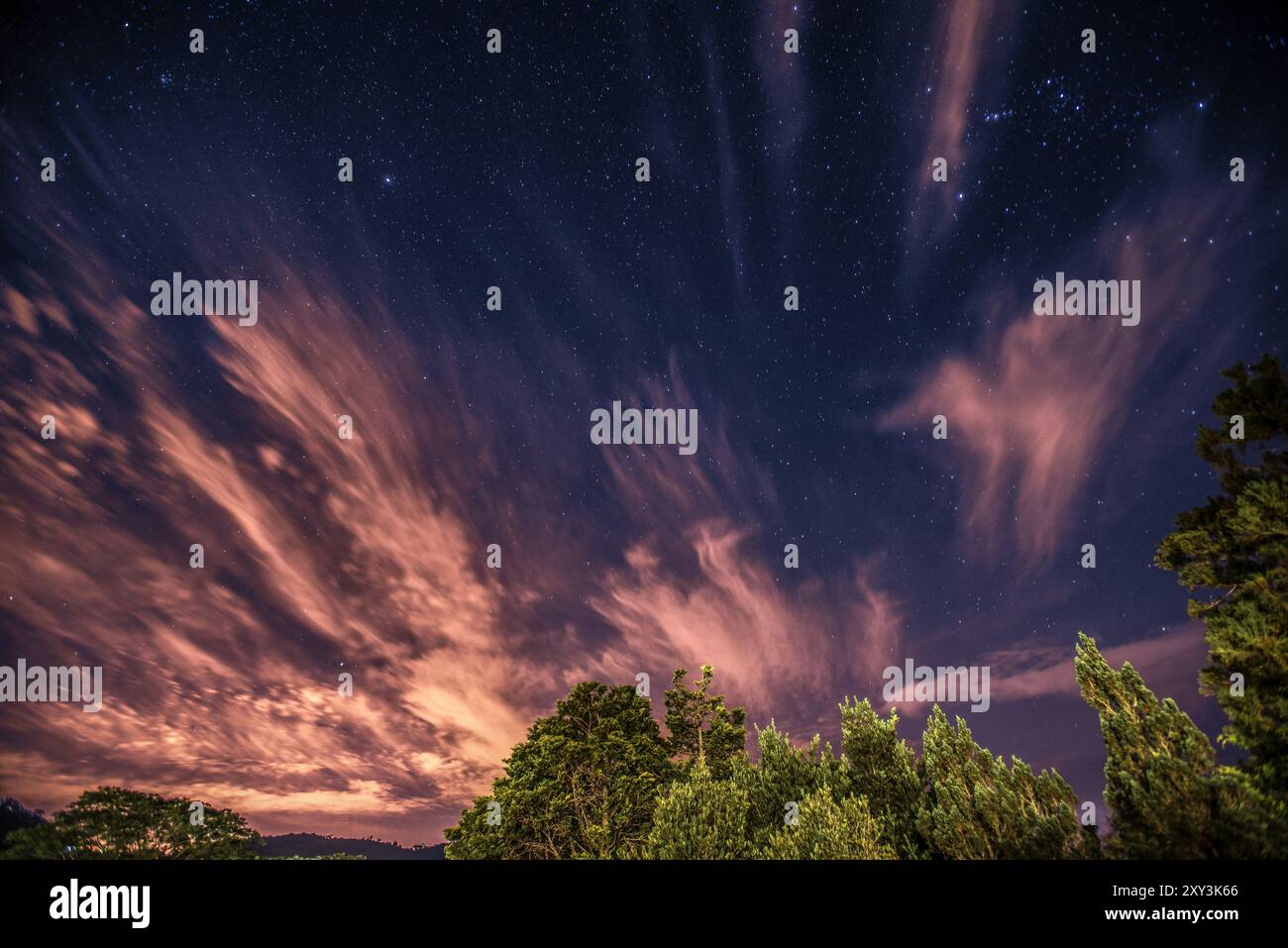 Sternenhimmel mit leuchtenden Wolken über einer bewaldeten Landschaft Stockfoto