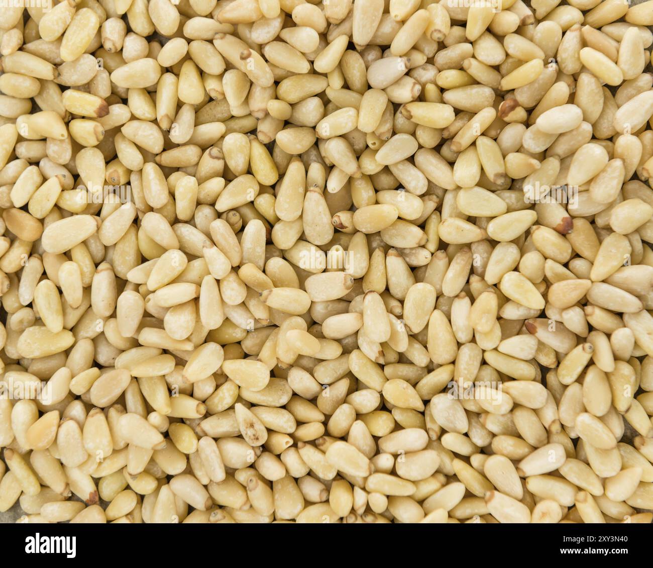 Pinienkerne Nahaufnahme zur Verwendung als Hintergrundbild oder als Textur Stockfoto