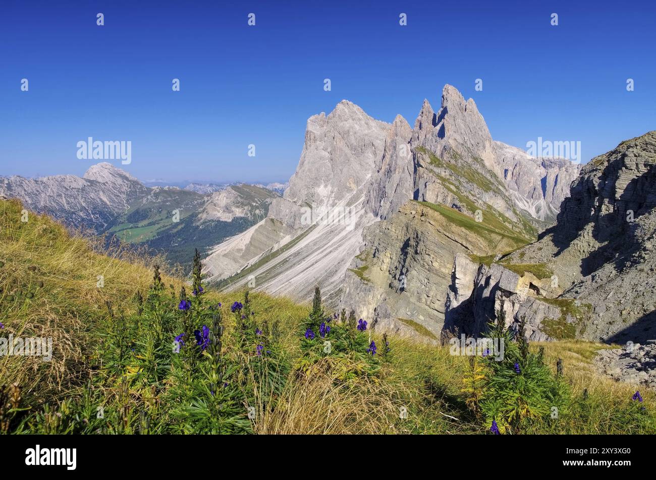 Geislergruppe, Gruppo delle Geisler 02 Stockfoto