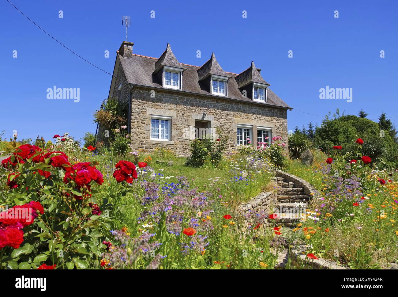 Bretagne Haus mit Blumen, typisches altes Haus und Garten in der Bretagne, Frankreich, Europa Stockfoto