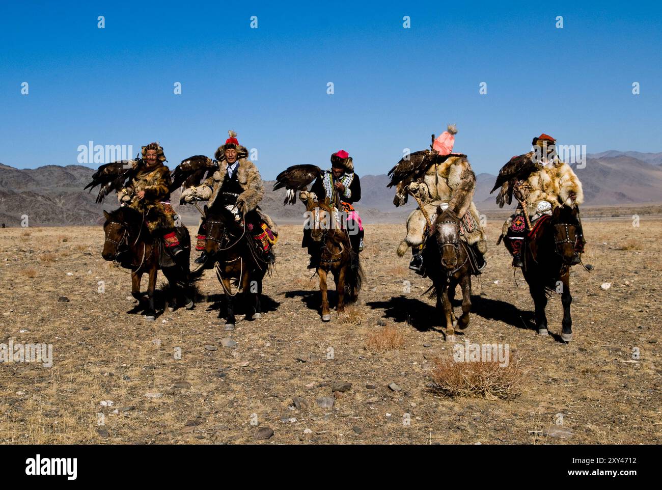 Kasachische eagle Jäger und ihre Steinadler in der Altai-Region von Bayan-Ölgii in der westlichen Mongolei. Stockfoto