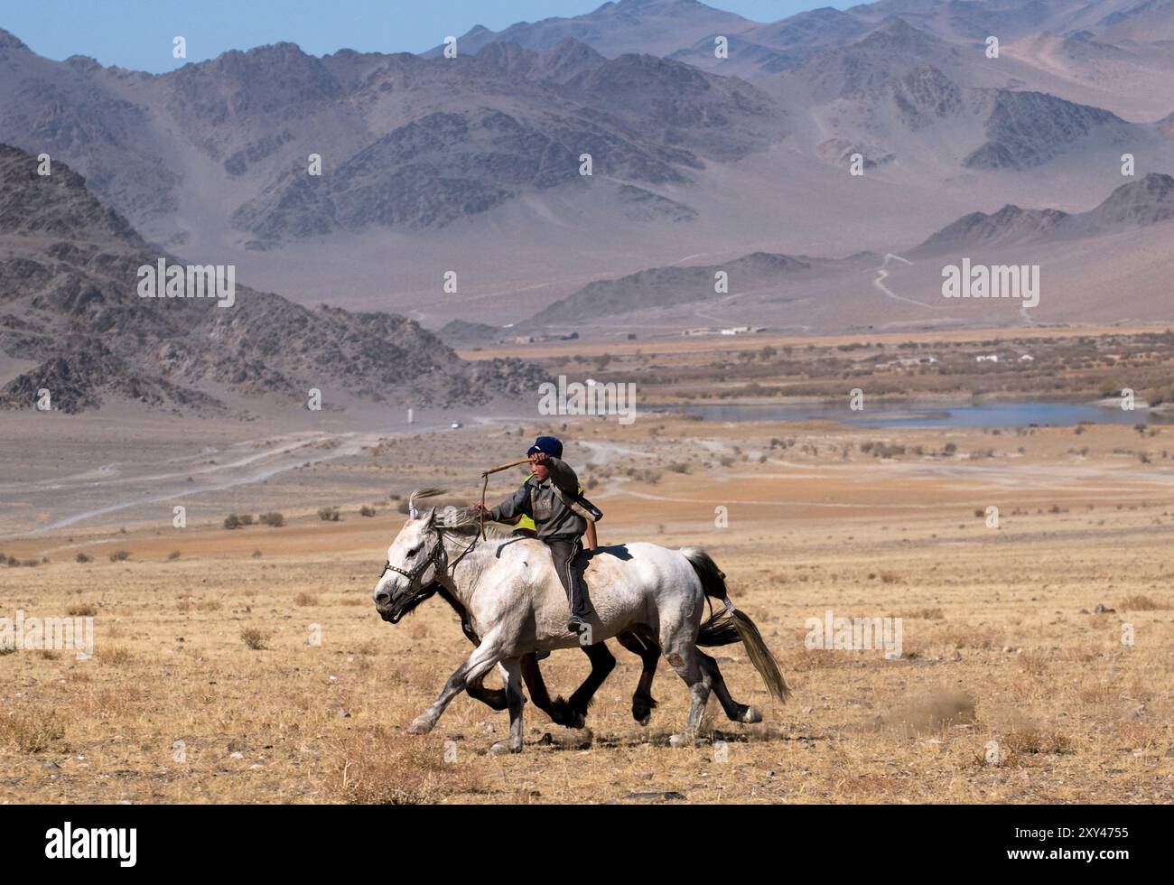 Kasachische Adlerjäger treten beim Tiyn Teru - Münzabholer-Pferderennen in der Region Altai in der Westmongolei an. Stockfoto