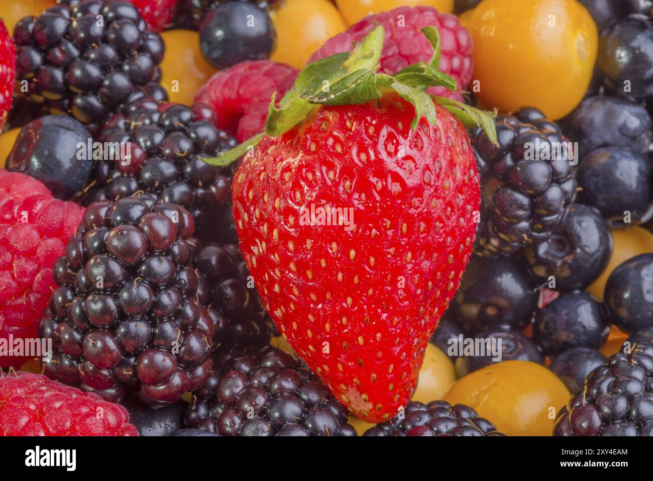 Aus nächster Nähe frische Beeren verschiedener Sorten, alle gemischt Stockfoto