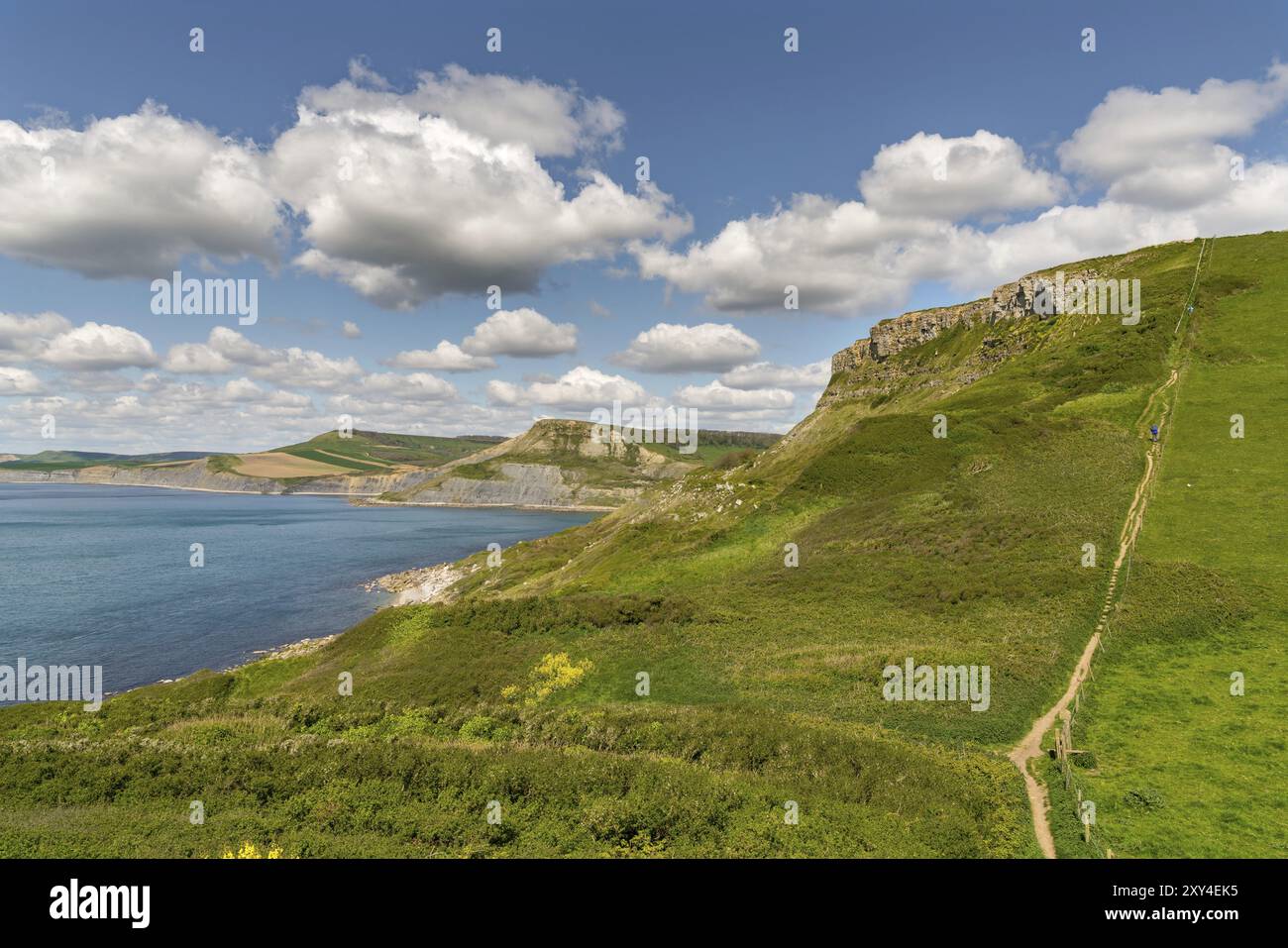 South West Coast Path mit Blick über die Jurassic Coast und der Aufstieg auf der Emmett Hügel, in der Nähe von Worth Matravers, Jurassic Coast, Dorset, Großbritannien Stockfoto