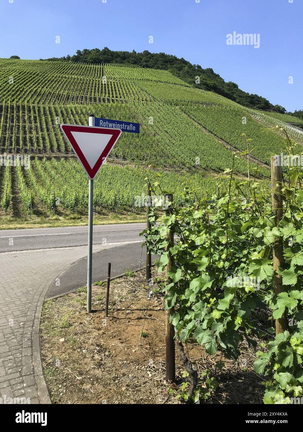 Straßenschild Rotweinstraße im Ahrtal Stockfoto