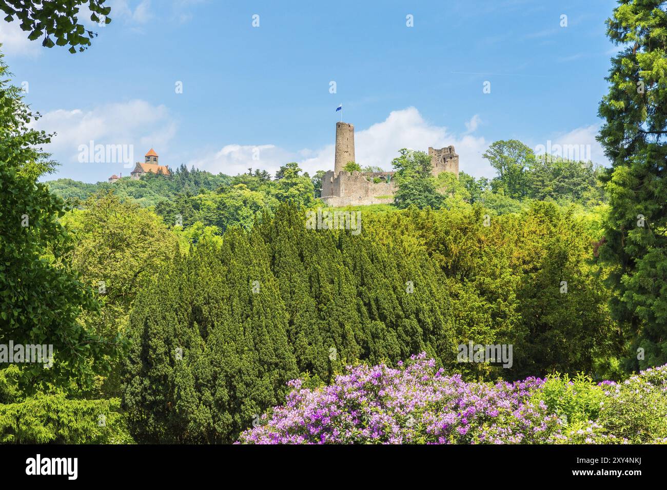 Burg Windeck, Weinheim Stockfoto
