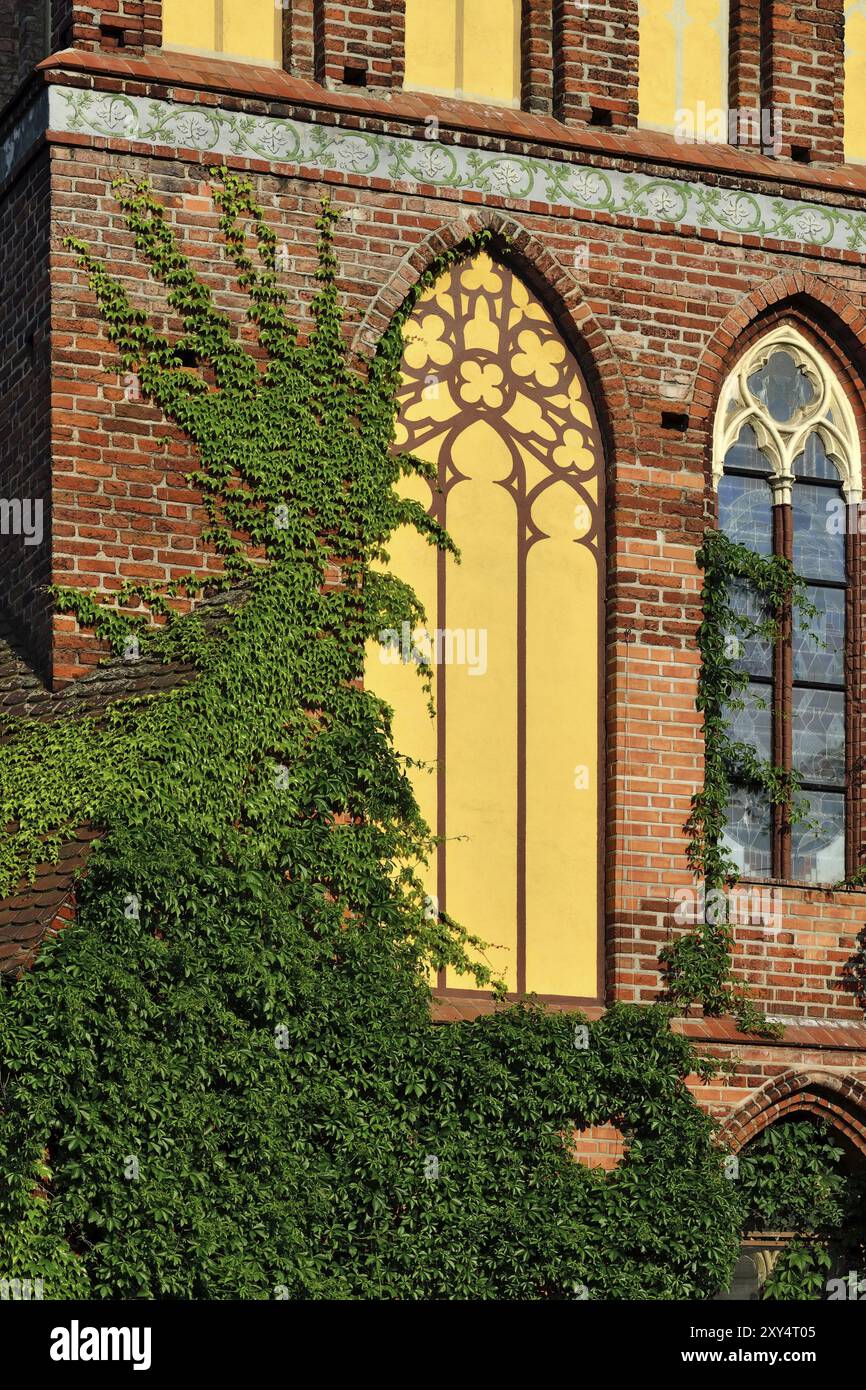 Königsberg Kathedrale, einem gotischen 14 Jahrhundert. Fassade-fragment Stockfoto