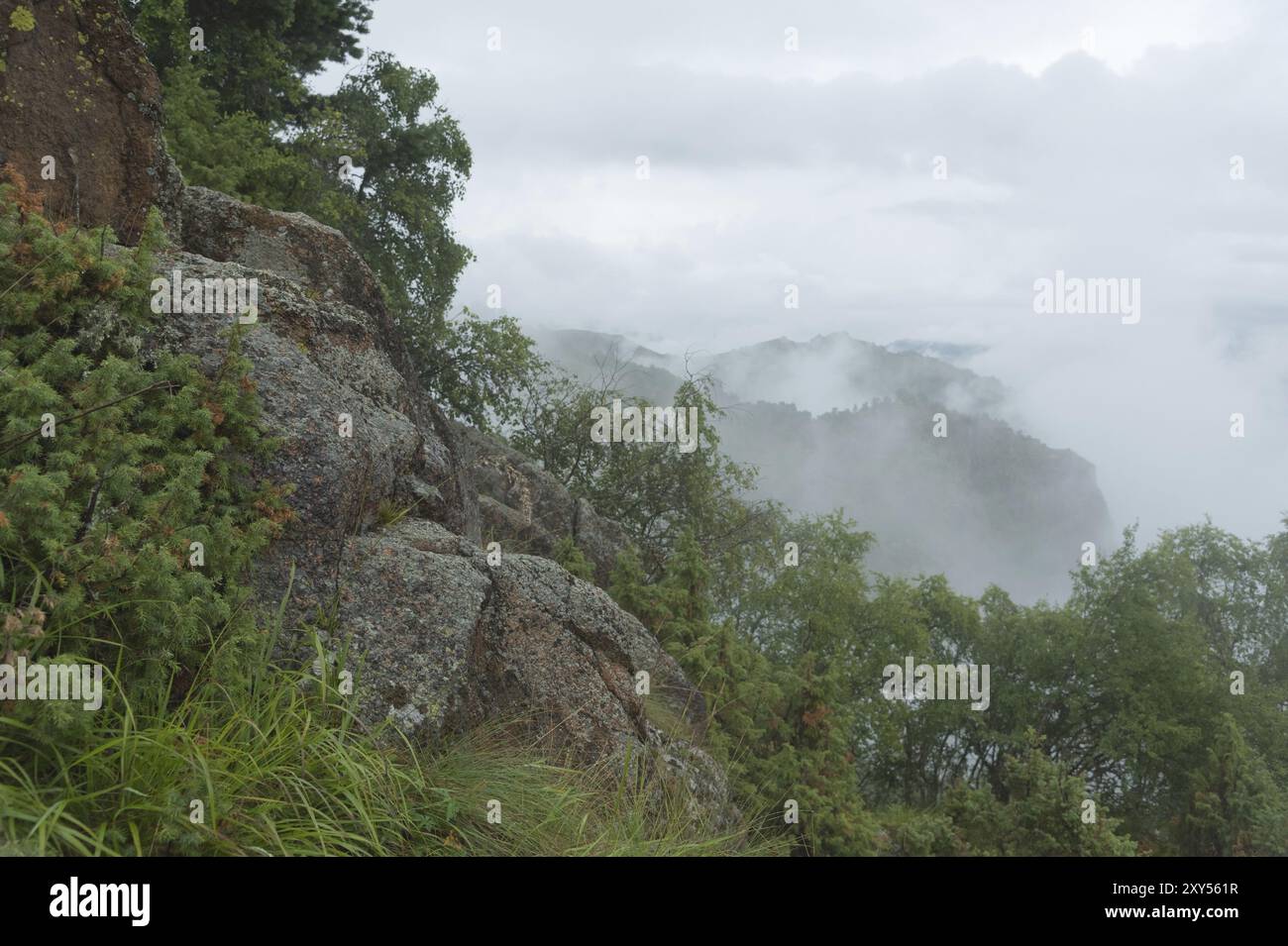 Nebelige Landschaft felsiges Massiv mit wacholderbüschen mit einem nebeligen Tal und niedrigen Wolken in den Bergen des Nordkaukasus Stockfoto