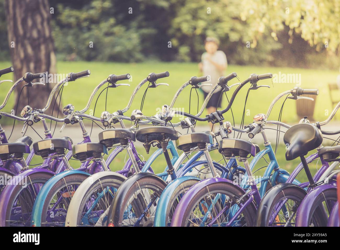 Reihe von Fahrrädern in der Vermietung Agentur, Stadt Mobilität Stockfoto