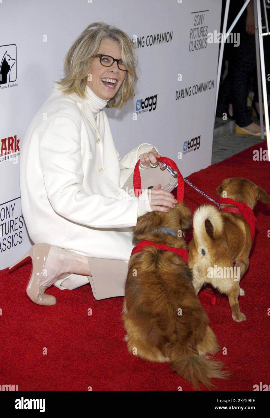 Diane Keaton bei der Premiere von Darling Companion in Los Angeles am 17. April 2012 im Egyptian Theater in Hollywood Stockfoto