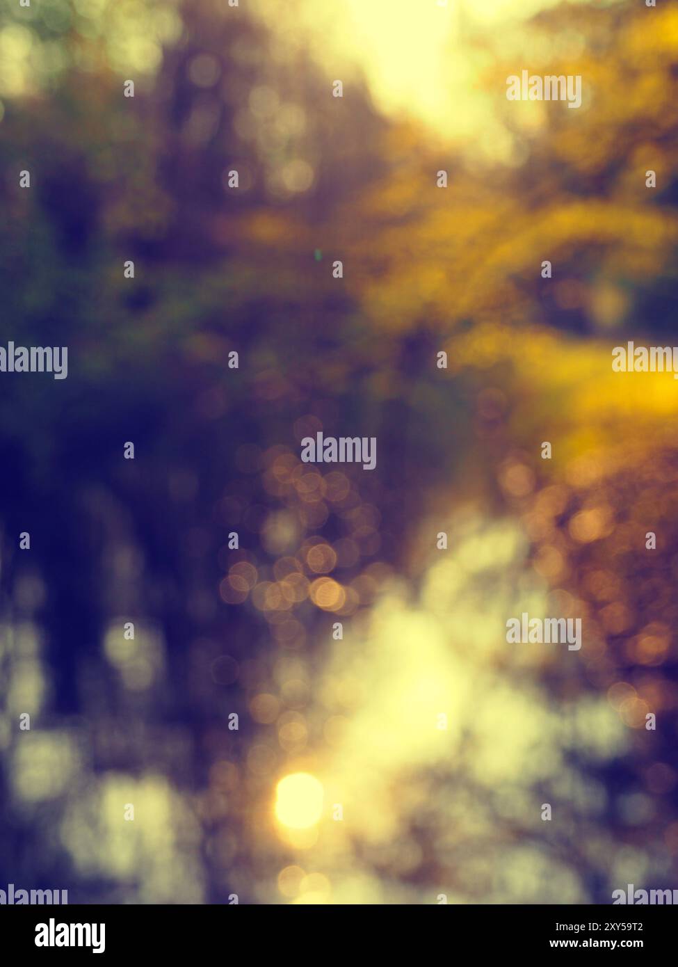 Schönen Sonnenaufgang im Park, unscharfe bokeh Hintergrund Stockfoto