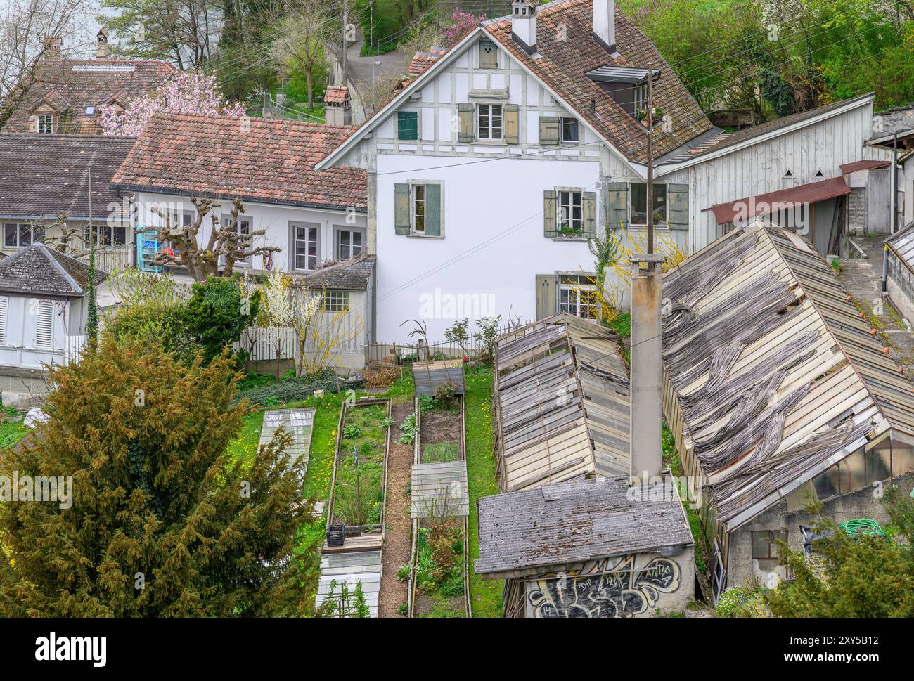 Blick von der Münsterplattform über Gärten mit Hochbeeten und alten baufälligen Gewächshäusern. Stockfoto