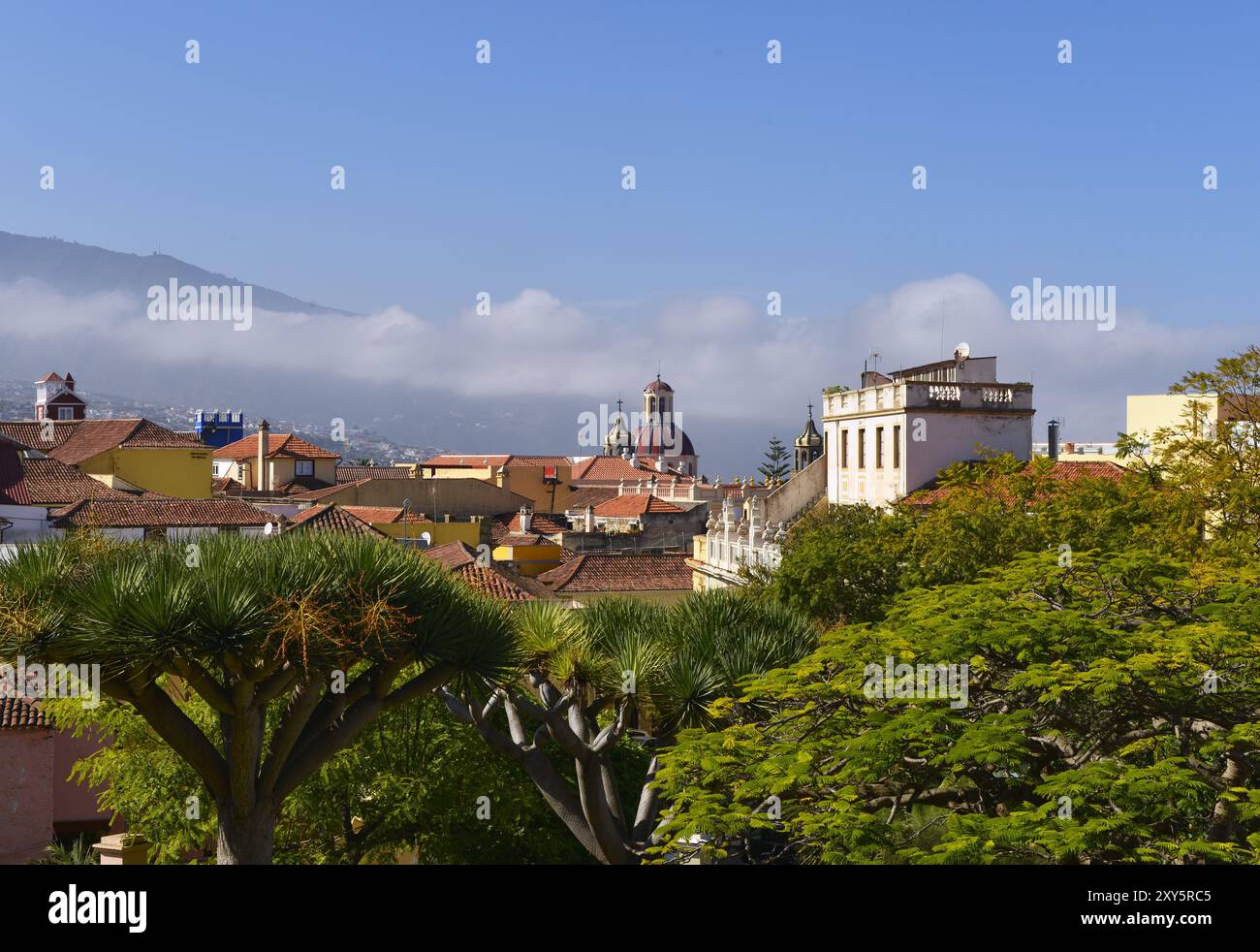 Blick auf La Orotava vom Liceo de Taoro, Teide im Hintergrund, Teneriffa, Kanarische Inseln, Spanien, Europa Stockfoto