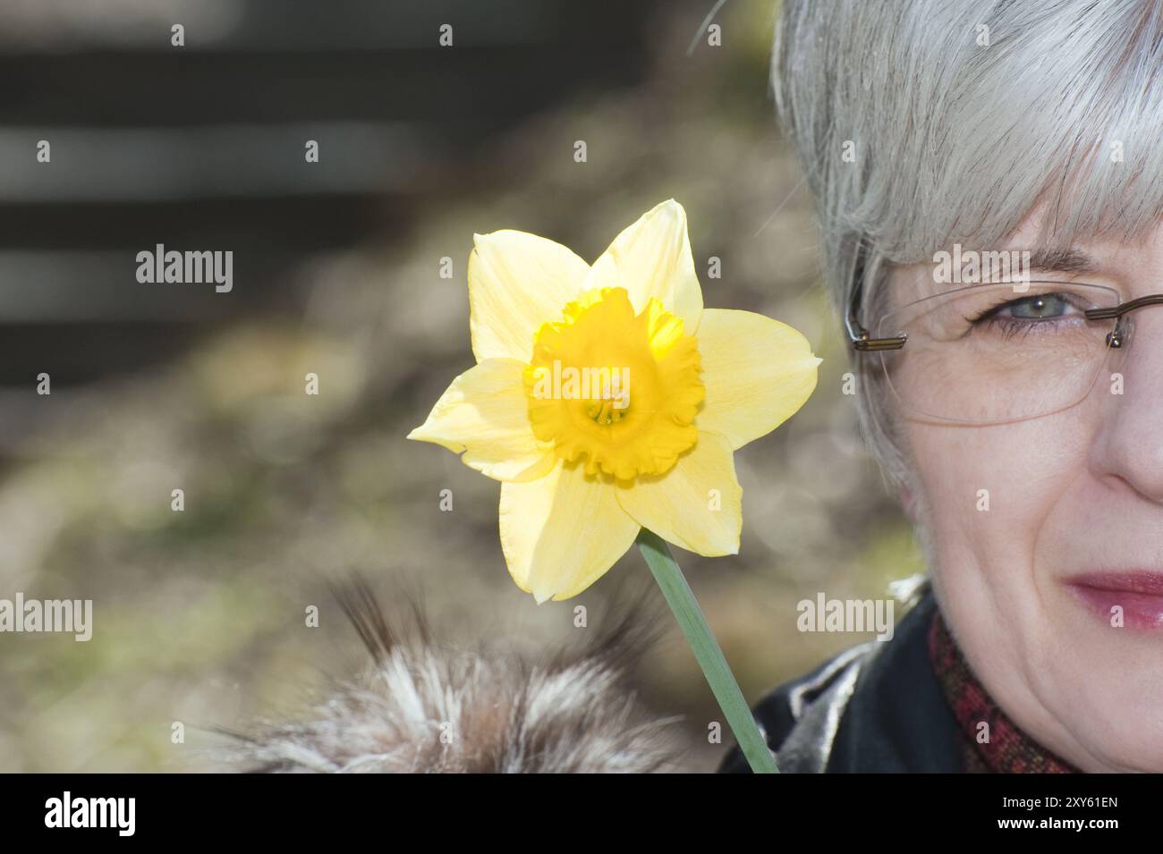 Halbporträt einer Frau mit Narzissen Stockfoto