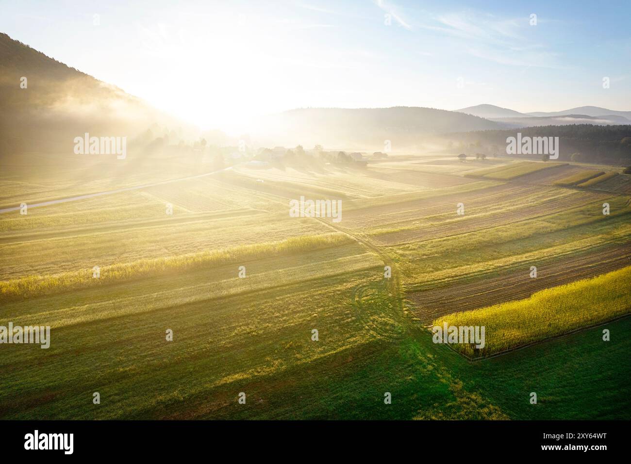 Spektakuläres Sonnenaufgangslicht über den nebeligen Maisfeldern in der Nähe einer kleinen Dorfgemeinde in der Nähe von Dolenjske toplice in der Region Dolenjska, Slowenien Stockfoto