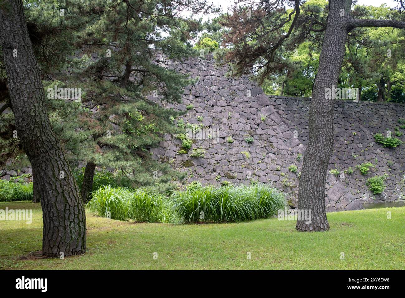 Ostgärten des Kaiserpalastes Tokio Japan Stockfoto