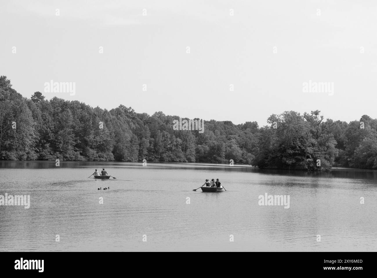 Besucher rudern auf dem ruhigen See im Andrew Jackson State Park in Lancaster, South Carolina, USA. Stockfoto