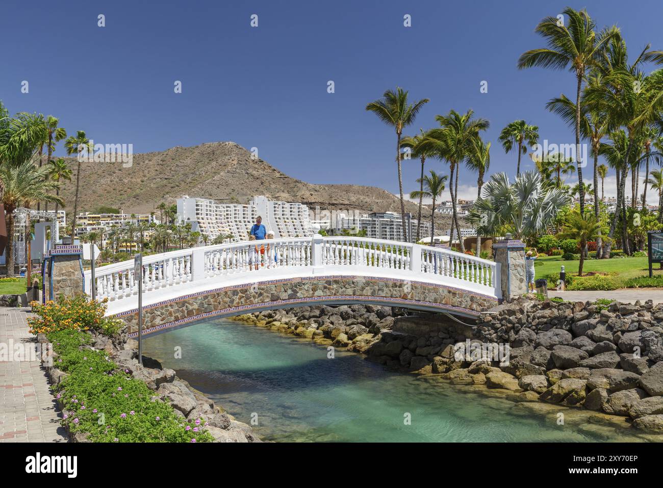 Park in Anfi del Mar, Playa de la Verga, Arguineguin, Gran Canaria, Kanarischen Inseln, Spanien, Anfi del Mar, Playa de la Verga, Gran Canaria, Kanarische Inseln Stockfoto