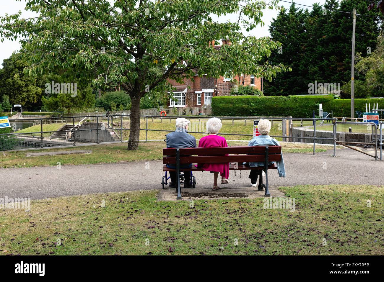 Rückansicht von drei älteren Menschen, alle mit weißem Haar zwei Frauen, ein Mann, der auf einer Bank am Fluss sitzt, in Shepperton Lock Surrey England, Großbritannien Stockfoto