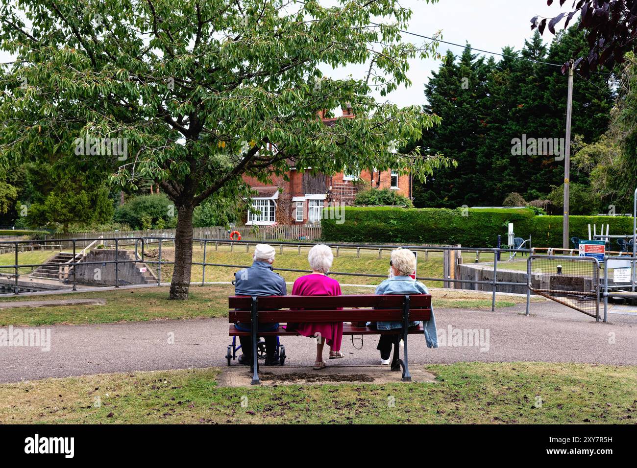 Rückansicht von drei älteren Menschen, alle mit weißem Haar zwei Frauen, ein Mann, der auf einer Bank am Fluss sitzt, in Shepperton Lock Surrey England, Großbritannien Stockfoto