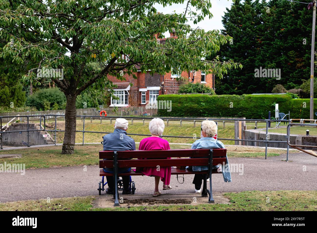 Rückansicht von drei älteren Menschen, alle mit weißem Haar zwei Frauen, ein Mann, der auf einer Bank am Fluss sitzt, in Shepperton Lock Surrey England, Großbritannien Stockfoto