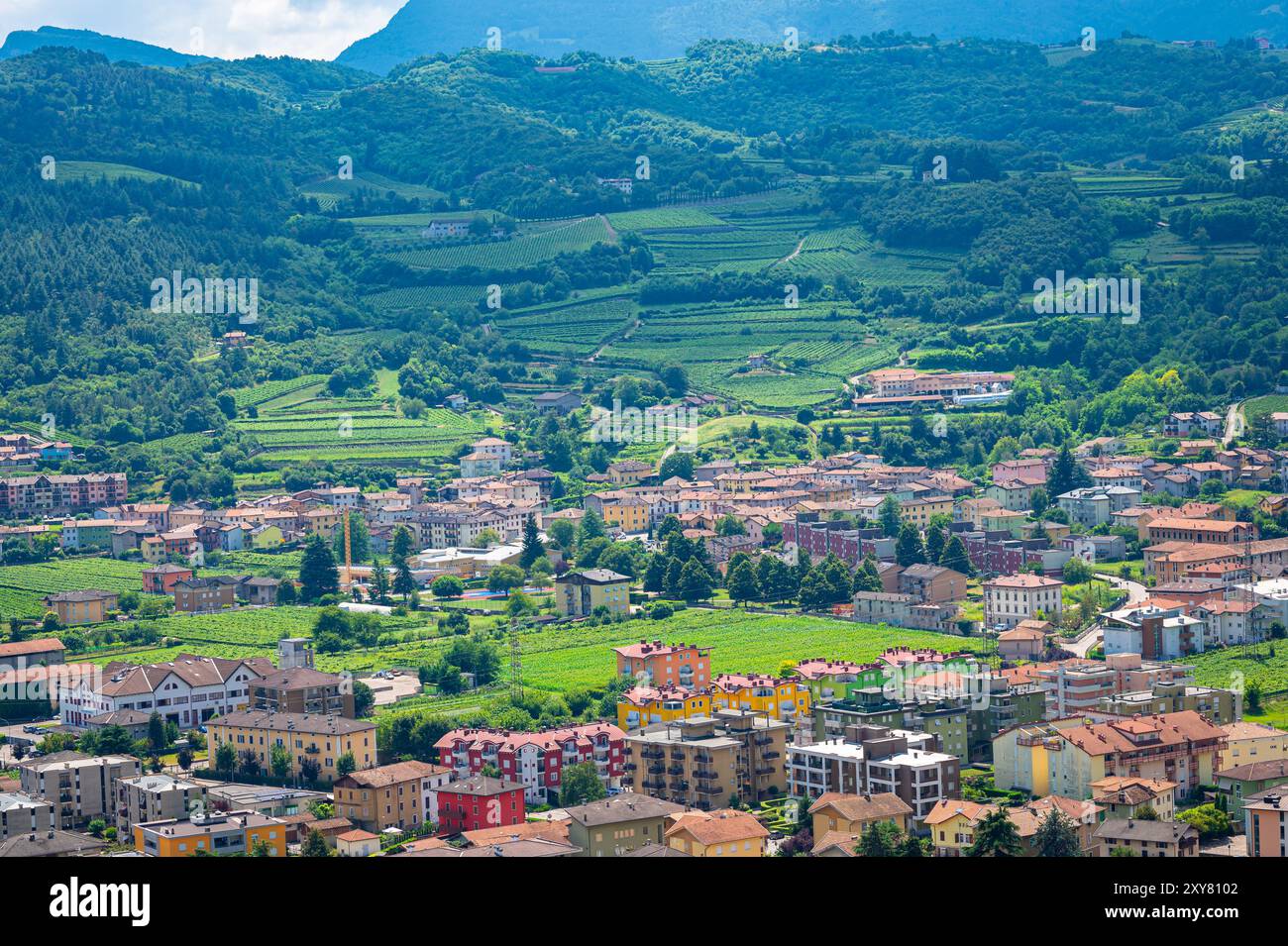 Detaillierte Ansicht des Dorfes Mori und Terrassen mit Weinbau in der autonomen Provinz Trient, Italien Stockfoto