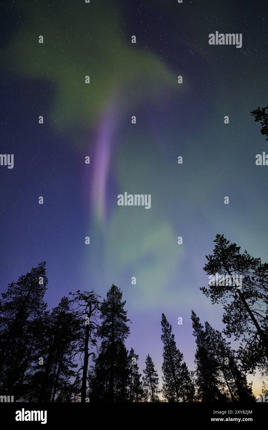 Nordlichter (Aurora borealis), Norrbotten, Lappland, Schweden, August 2014, Europa Stockfoto