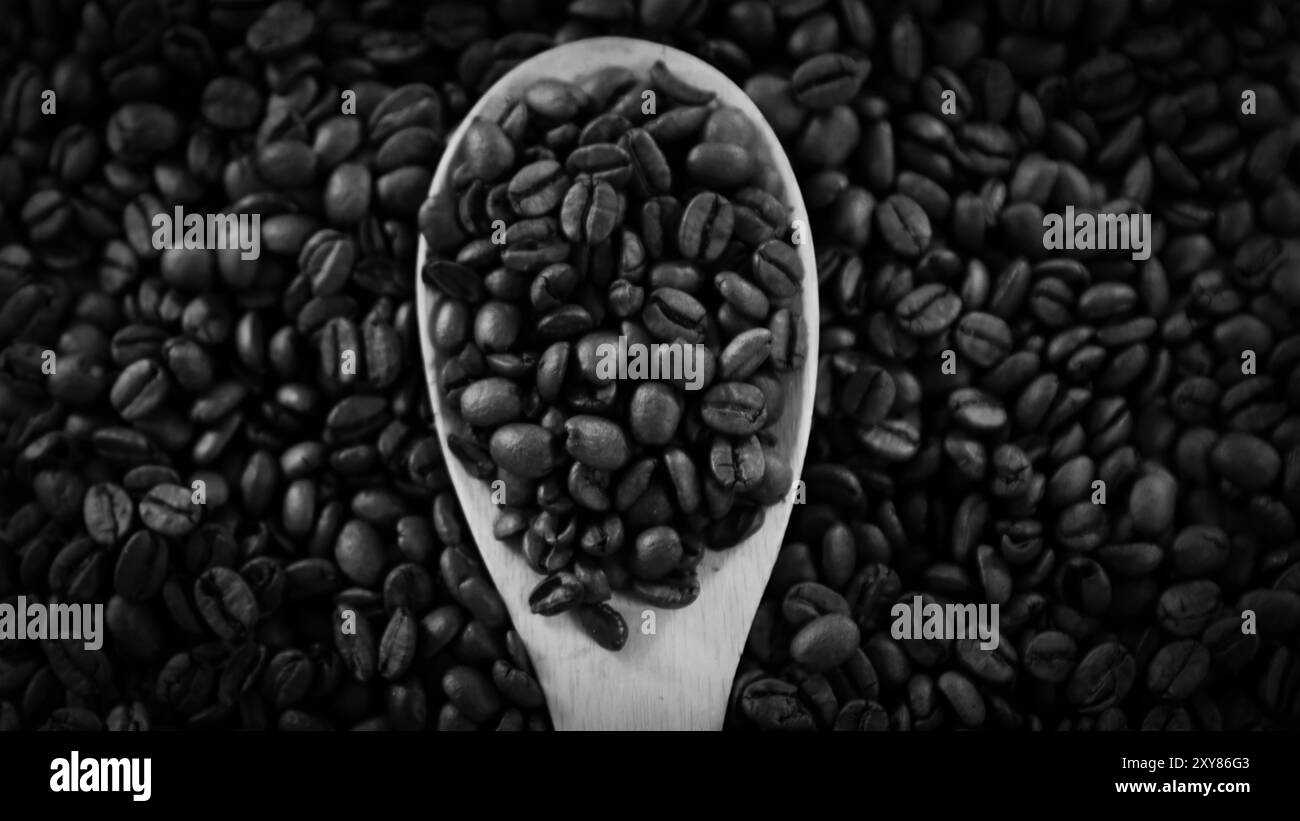 Ein Haufen Kaffeebohnen, die zusammen gestapelt sind und zu einer köstlichen Tasse Kaffee gebrüht werden können. Nahaufnahme gerösteter Arabica-Kaffeebohnen. Verschiedene Typen Stockfoto