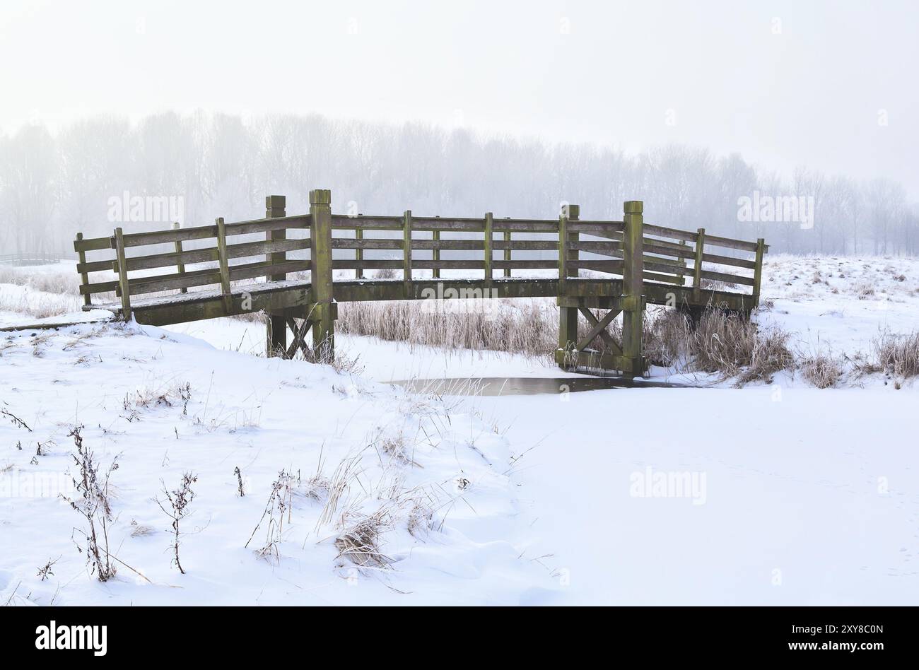 Holzbrücke über den gefrorenen Fluss im Winter Stockfoto