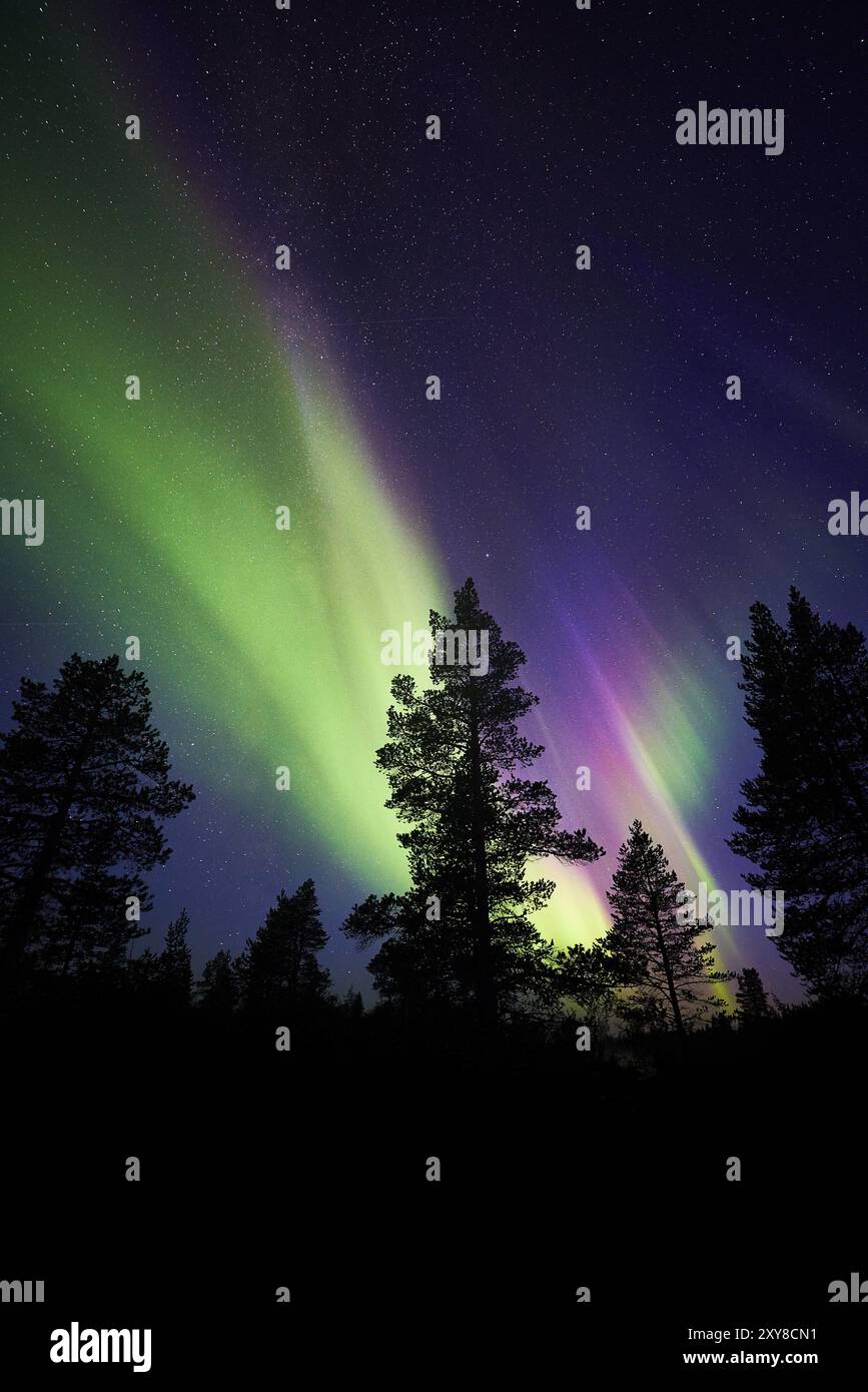 Nordlichter (Aurora borealis), Norrbotten, Lappland, Schweden, August 2014, Europa Stockfoto