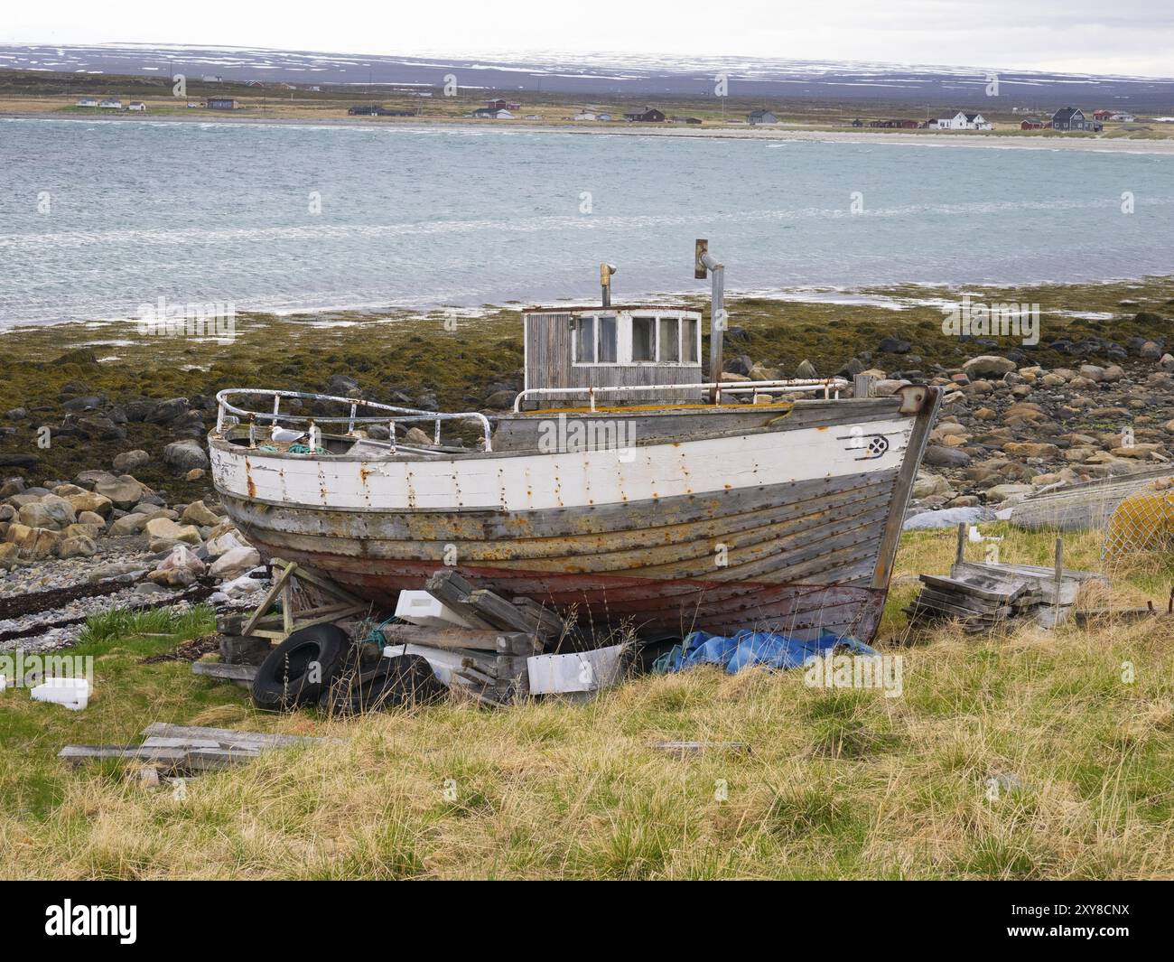 Verfallenes Fischerboot am Ufer des Arktischen Ozeans, mit einer gemeinen Möwe (Larus canus), die in ihrem Heck am Rande des Fischerdorfes von nistet Stockfoto