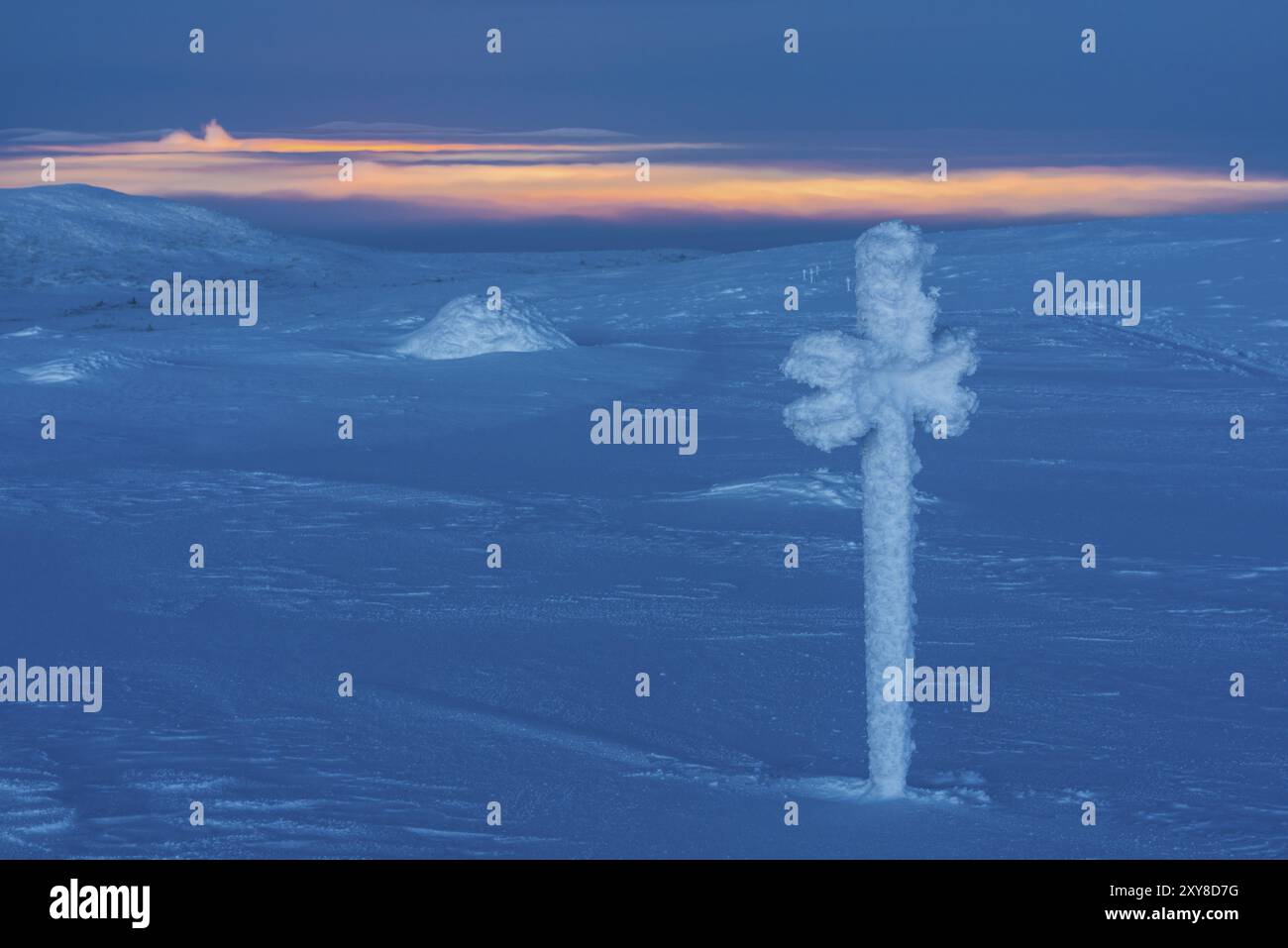 Winterlandschaft auf Mount Dundret, Dundret Nature Reserve, Gaellivare, Norrbotten, Lappland, Schweden, Dezember 2014, Europa Stockfoto