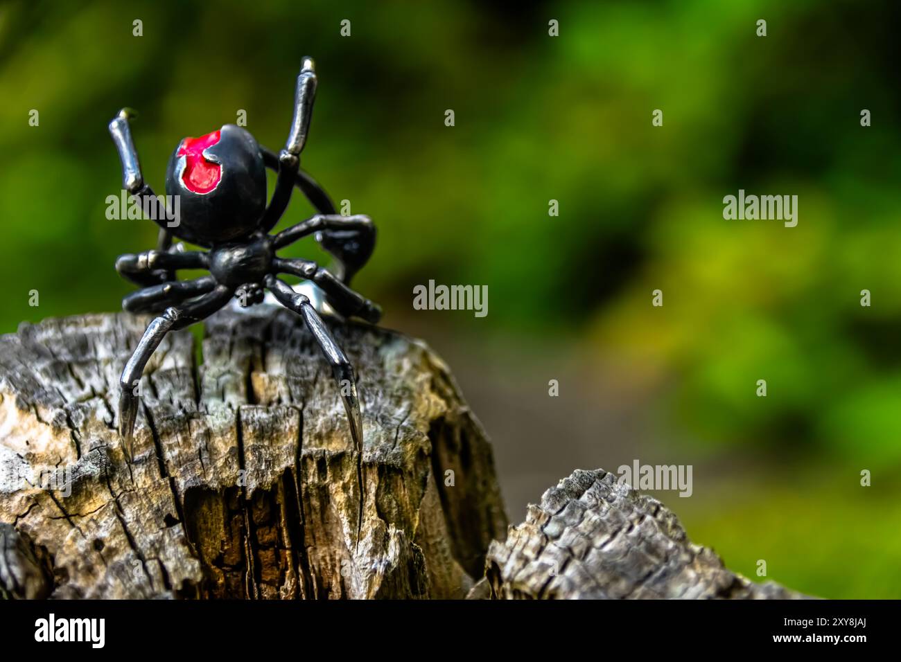 Eine Nahaufnahme eines schwarzen Witwenspinnenrings an einem Baumstamm, inspiriert von der tödlichen Eleganz der legendären Spinne. Stockfoto