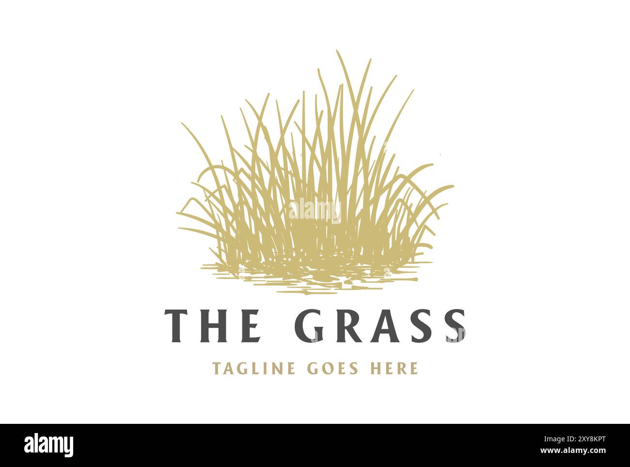 Vintage Retro Gras Wiese Rasen oder Weizen Reis Farm Logo Design Vektor Stock Vektor